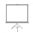 Οθόνη προβολής σε Τρίποδο 119'' 1:1  210x210cm CONCEPTUM CON-TP119