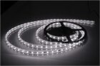 Ταινία LED Λευκή Ψυχρή 5m LDT-3528/20WH