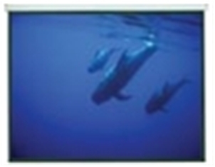 Χειροκίνητη Οθόνη Προβολής 170" 1:1 172x172cm PMA-G170